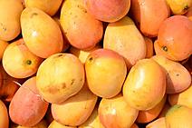 A vendedora de mangas e a generosidade