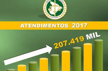 Mais de 207 mil pessoas recorreram à Defensoria Pública em 2017