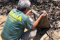 Ficam proibidas a venda e a captura de caranguejos 