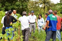Deso planta 1.300 mudas em Malhador