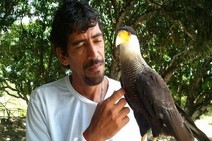 Grupo invade Parque dos Falcões, espanca funcionário e mata uma ave 