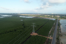 Termoelétrica: GE instala sistema de alta tensão sem impacto ao meio ambiente