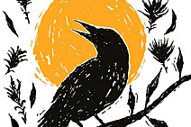 “Versos sertânicos”: de Lau Siqueira para Sergipe