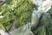 PL que flexibiliza uso de agrotóxico causa preocupação