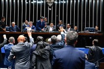 Senado derruba decreto sobre armas