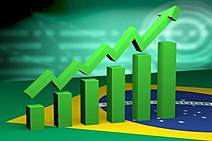 De grão em grão, a democracia enche o celeiro e a mentira fascista ficará nos galinheiros