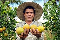 Governo do Estado investe na geração de renda no campo por meio do incentivo a produtores e cultivos locais