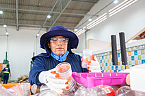 Aracaju implanta modelo pioneiro de coleta seletiva e catadores comemoram investimentos históricos