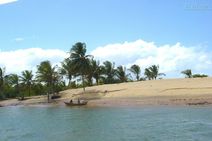 Foz do Rio São Francisco está em estado crítico