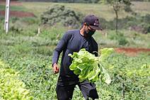 Governo do Estado investiu mais de R$ 20 milhões na expansão da economia rural