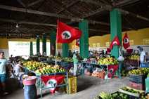 Produção orgânica é comercializada na Feira da Reforma Agrária