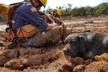 Bombeiros de Sergipe atuarão para localização de vítimas em Brumadinho