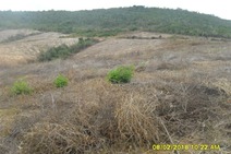 Adema multa propriedade por desmatar a Serra do Machado 