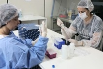 Mais três exames dão positivo para coronavírus em Sergipe