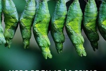 Política cultural: Francisco Pippio lança novo livro de poemas