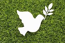 A paz sempre será fruto da justiça