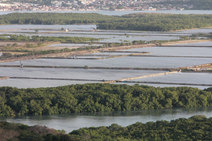 Carcinicultura como atividade sustentável
