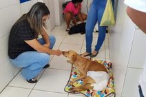 Kitty Lima visita inciativas de proteção animal