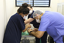 Aju Animal consolida políticas públicas para proteção e cuidado dos animais em Aracaju