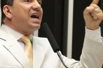 MendOncinha quer um pouco de atenção!