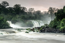 Juiz suspende decreto presidencial que extingue reserva na região amazônica