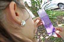 Prefeitura de Aracaju alerta para evolução de casos de agressão contra a mulher