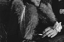 Uma margarida na nossa fossa