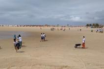 Boa ação: Torre e Fundação Brasil Ecoar realizam limpeza de praias sergipanas