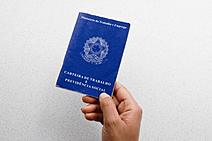 Sergipe: um exemplo de resiliência e potencial econômico