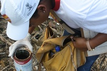 Governo anuncia volta da Brigada Itinerante para combate à dengue