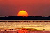 Nação de deprimidos e perspectivas de futuro