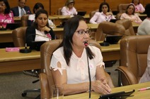 Diná Almeida vê fake news praticado por Dilson de Agripino