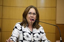 Em Brasília, deputada Goretti Reis debate violência contra a mulher