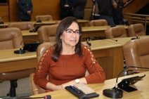 Governo anunciará medidas para auxiliar micro e pequenos empreendedores