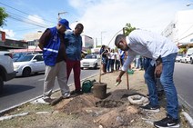 Prefeitura inicia compensação ambiental da Av. Hermes Fontes