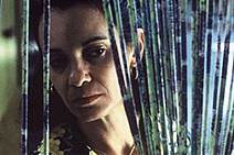 Relações domésticas - excelente oportunidade para ótimas reflexões