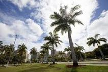 Áreas verdes devem ter mais público no pós-pandemia