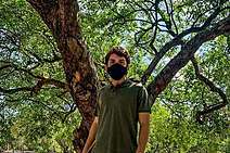 Breno Garibalde: equilíbrio entre o avanço da cidade a preservação das mangabeiras