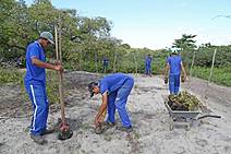 De forma inédita em Aracaju, Reserva das Mangabeiras concilia moradia, conservação ambiental e geração de renda
