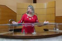 Sílvia Fontes vê descompostura de representante da OAB contra deputados