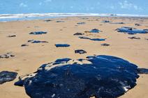 A que nos levarão as manchas de petróleo no mar e nas praias?
